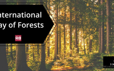 International Day of Forests